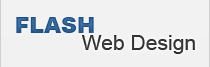Flash website